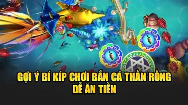 Một trong những bí kíp bắn rỉa hiệu quả hiện nay